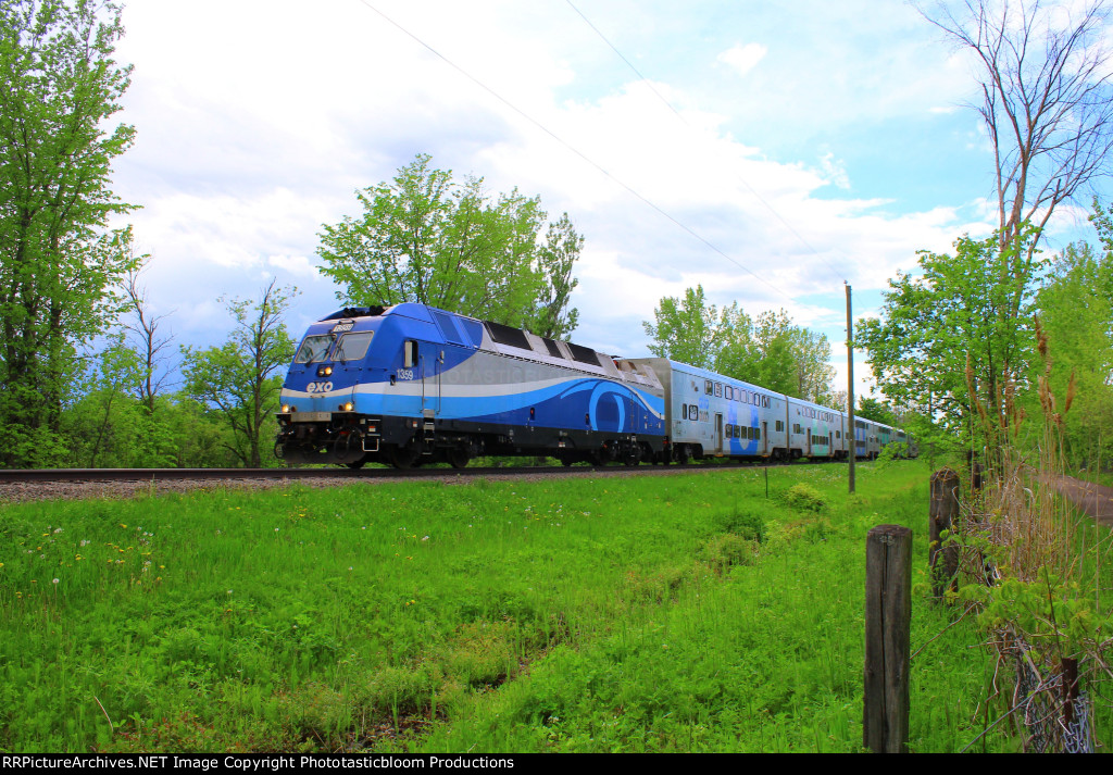 AMTL 1359
